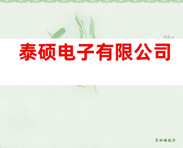泰硕电子有限公司